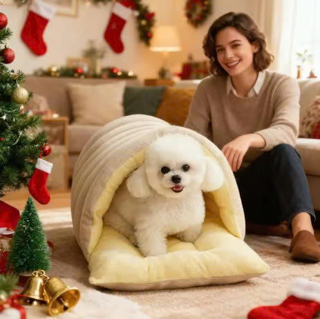 Cueva Calientita Ilummia™