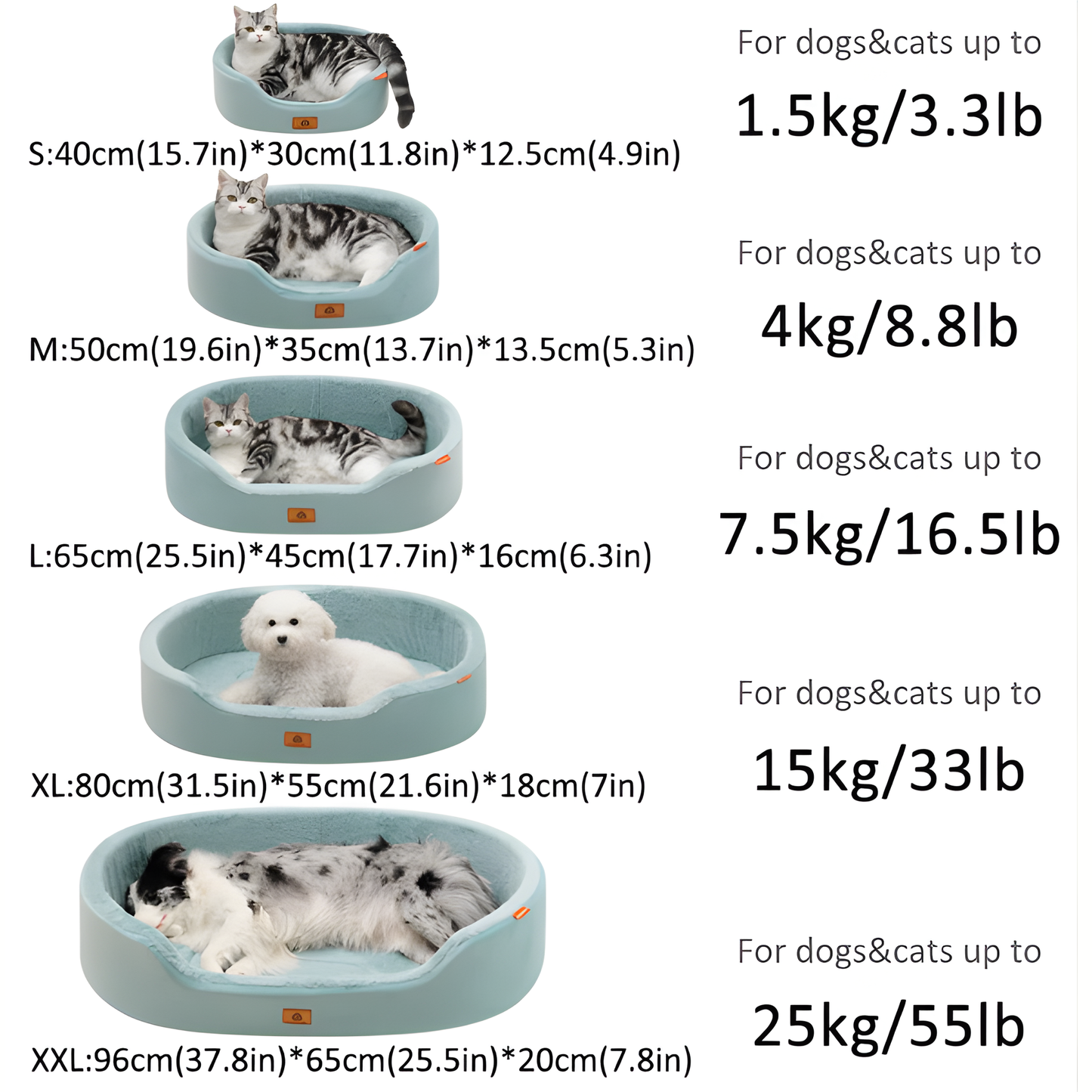 Ilummia DreamNest™ Orthopedic Bed