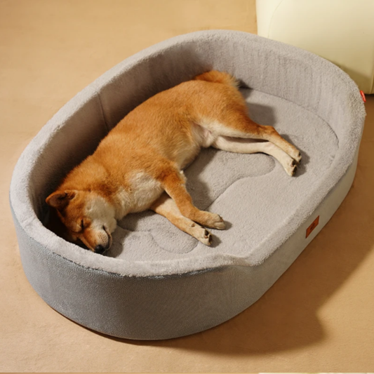 Ilummia DreamNest™ Orthopedic Bed