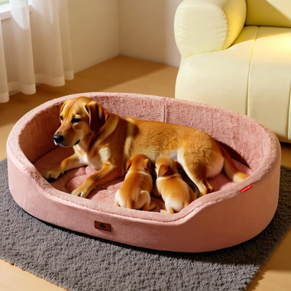 Ilummia DreamNest™ Orthopedic Bed