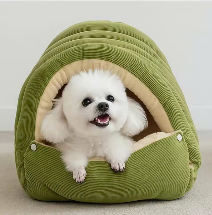 Cueva Calientita Ilummia™